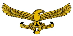 south africa airforce logo