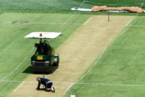 Optus Stadium Cricket Pitch 