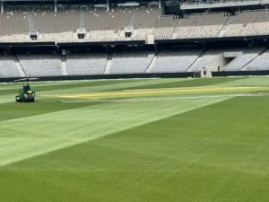 Close up view of the cricket pitch at Optus Stadium, Perth 