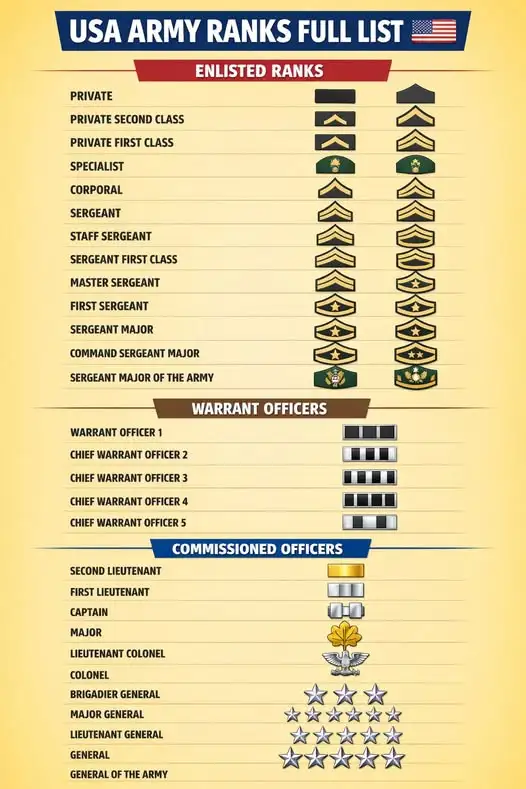 usa army ranks insignia