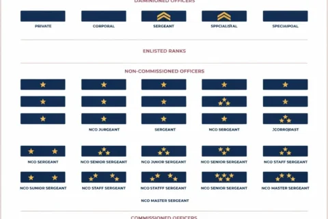 Turkish Military Ranks Insignias