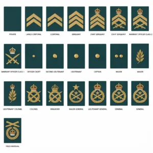 british military ranks & insignia