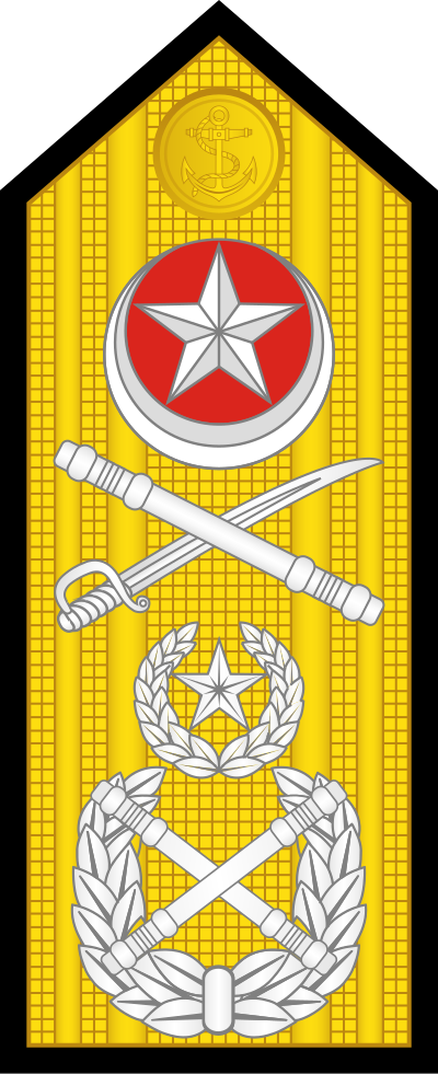 Admiral of the Fleet insignia
