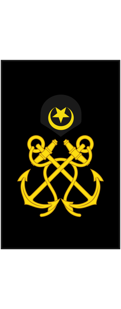 Petty Officer insignia