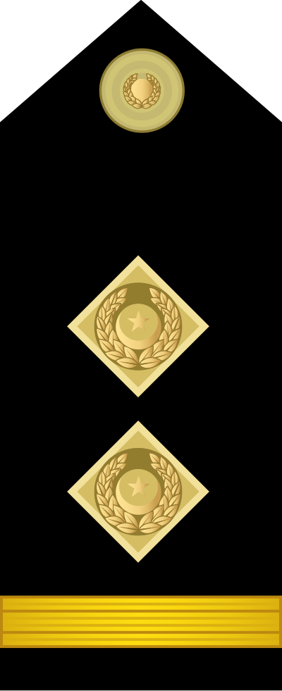 Fleet Chief Petty Officer insignia