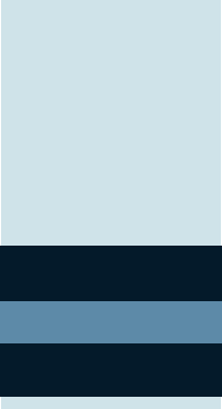 Air Commodore insignia