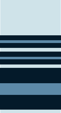 Air Marshal insignia