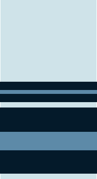 Air Vice Marshal insignia