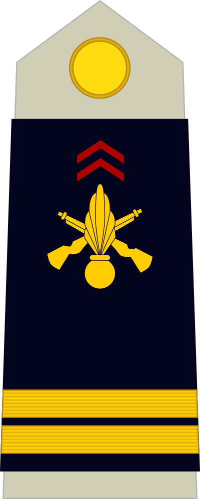 Lieutenant shoulder insignia