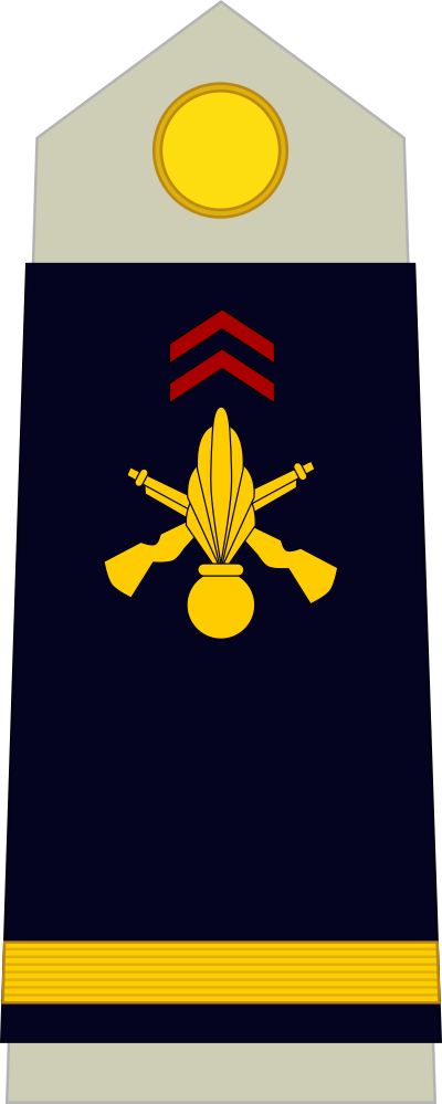 Sous-lieutenant shoulder insignia