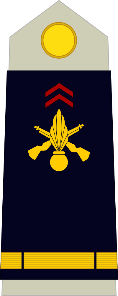 Aspirant shoulder insignia