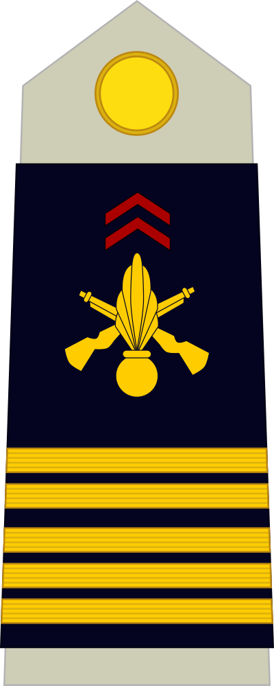 Colonel shoulder insignia