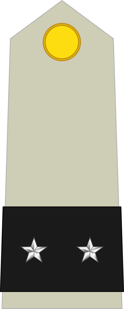Général de brigade shoulder insignia