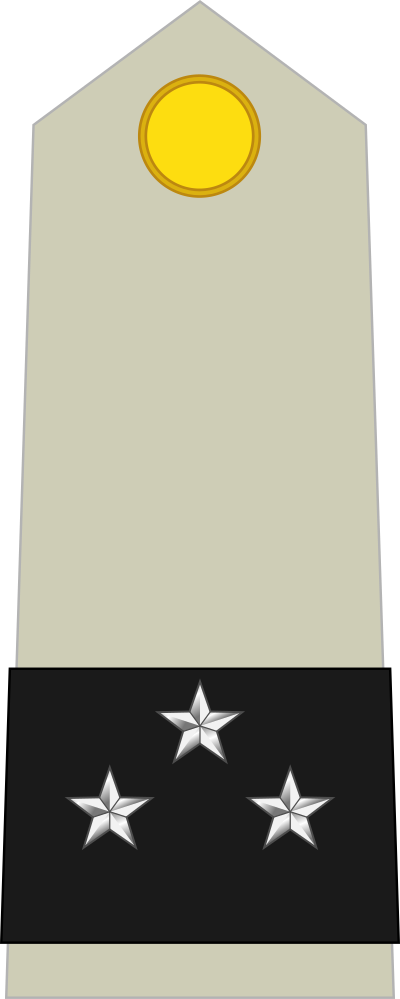 Général de division shoulder insignia