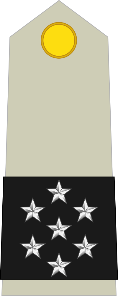 Maréchal de France insignia