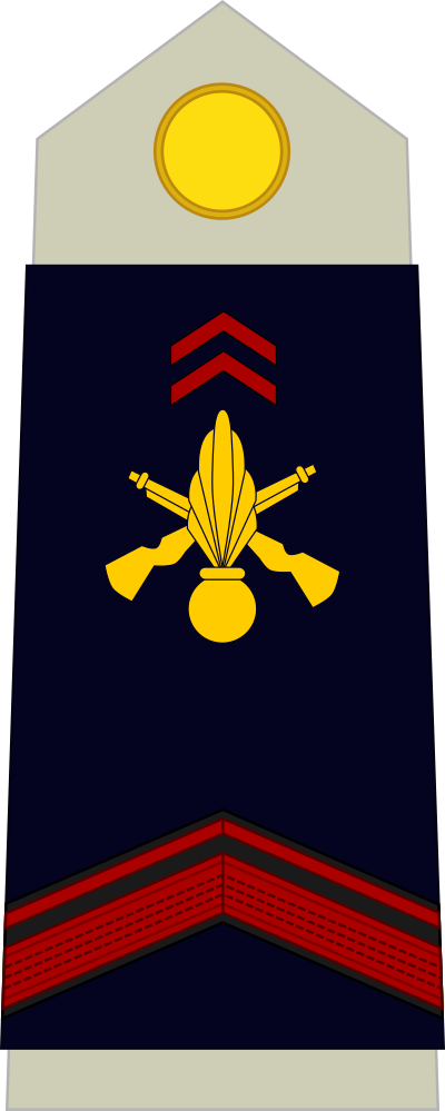 Soldat de 1re classe insignia