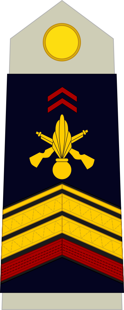 Caporal-chef de 1re classe insignia