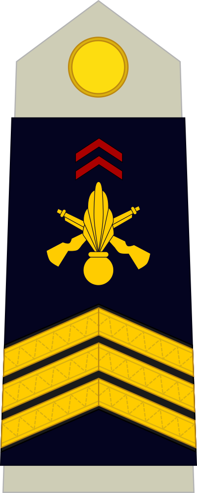 Sergent-chef insignia