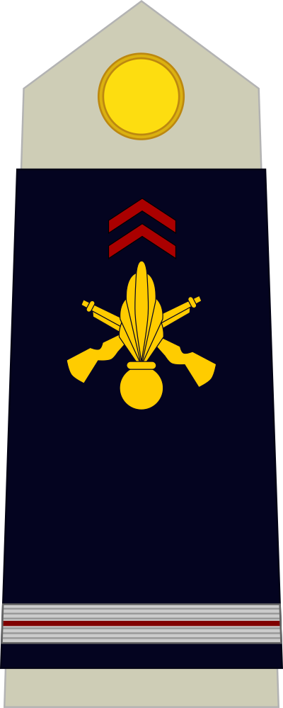 Adjudant insignia