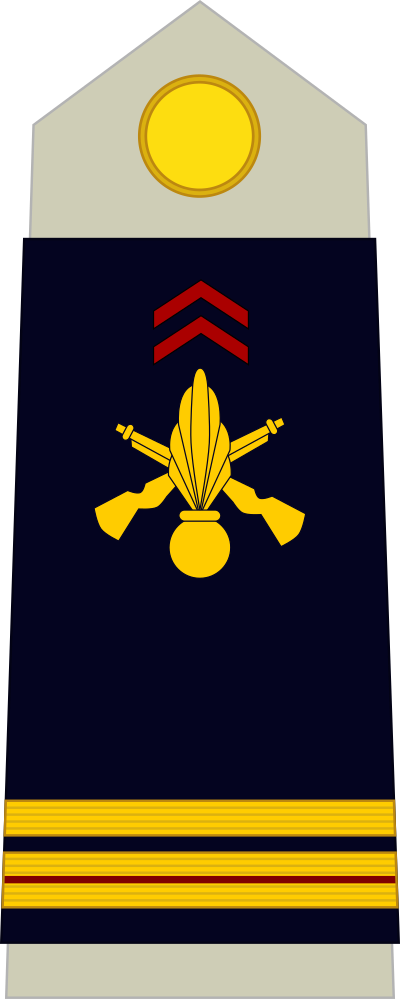 Major insignia