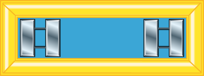US Army Captain insignia - two silver bars
