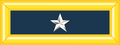 US Army Brigadier General insignia - one star