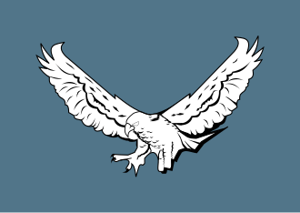 Aircraftman insignia