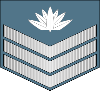 Flight Sergeant insignia