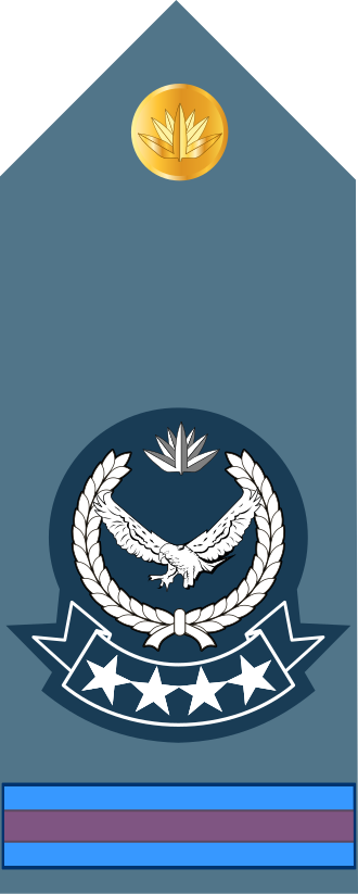Warrant Officer insignia