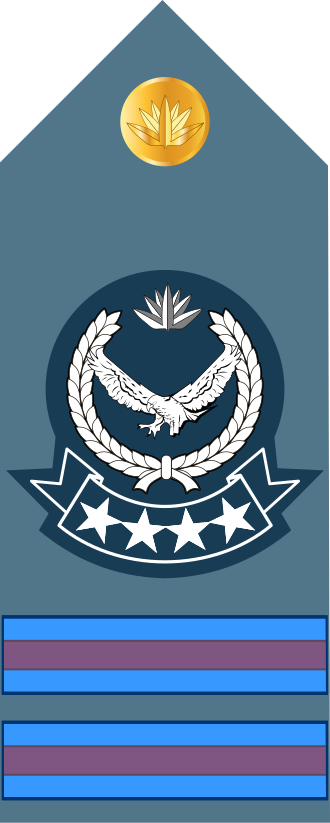 Senior Warrant Officer insignia
