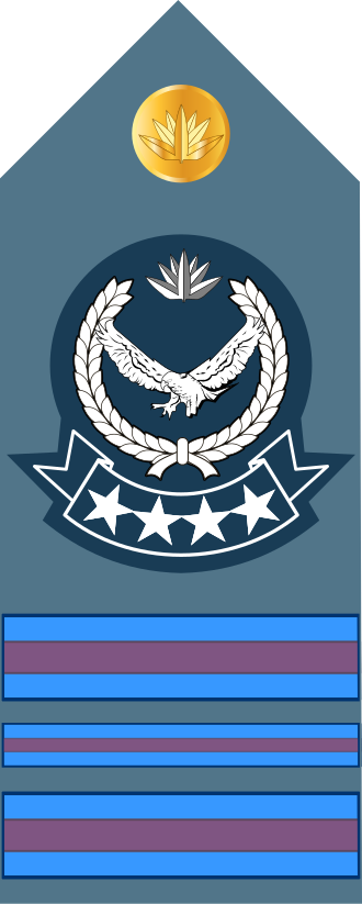 Master Warrant Officer insignia