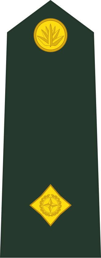 Second Lieutenant insignia