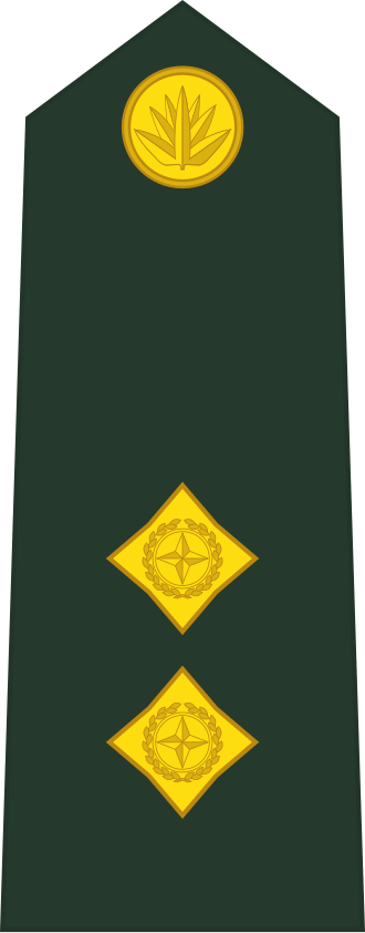 Lieutenant insignia