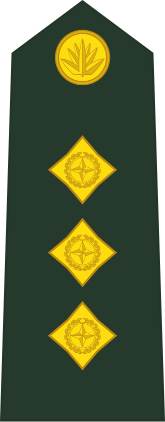 Captain insignia