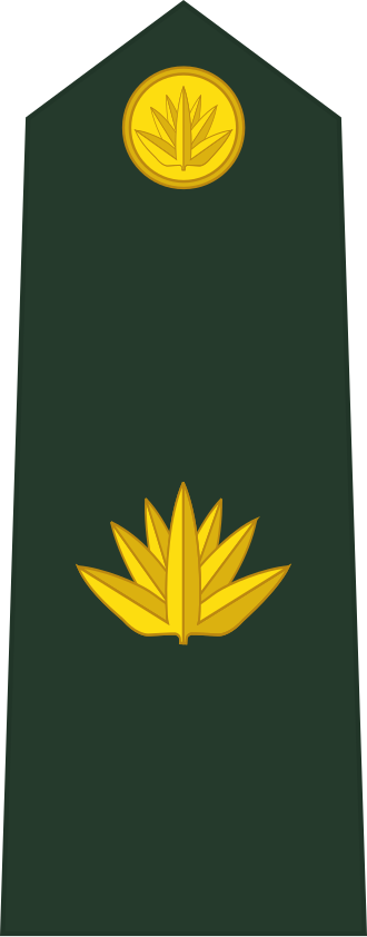 Bangladesh Army Major shoulder insignia