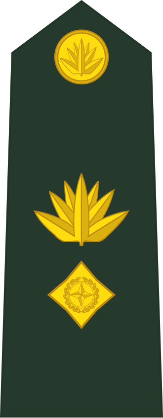 Lieutenant Colonel insignia