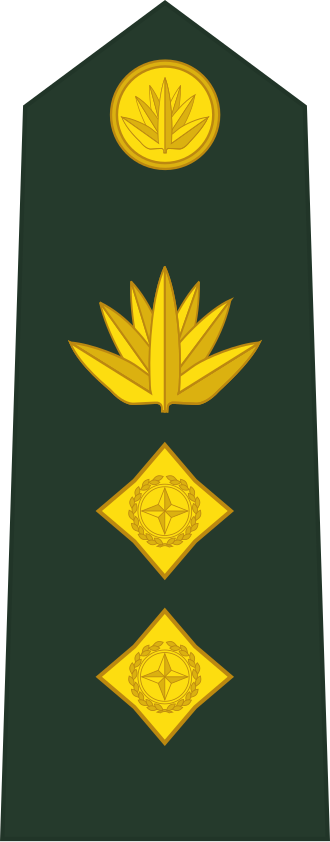 Colonel insignia
