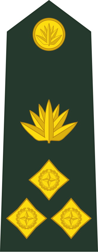 Brigadier General insignia