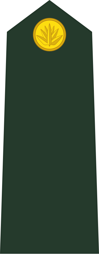 Sainik insignia