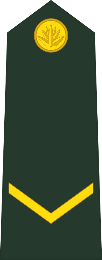 Lance Corporal insignia