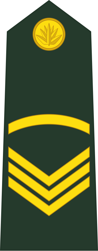 Sergeant insignia
