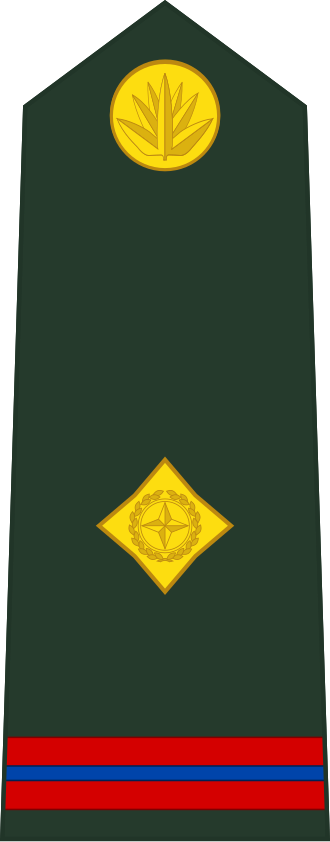 Warrant Officer insignia