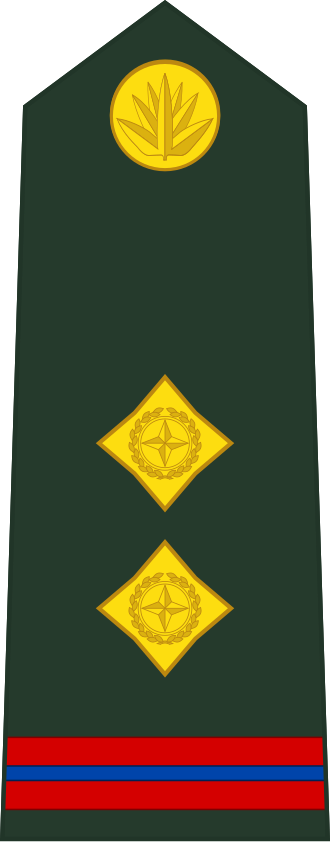 Senior Warrant Officer insignia