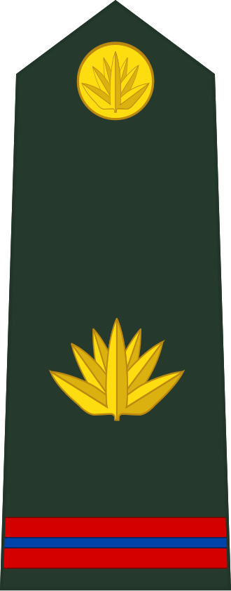 Master Warrant Officer insignia