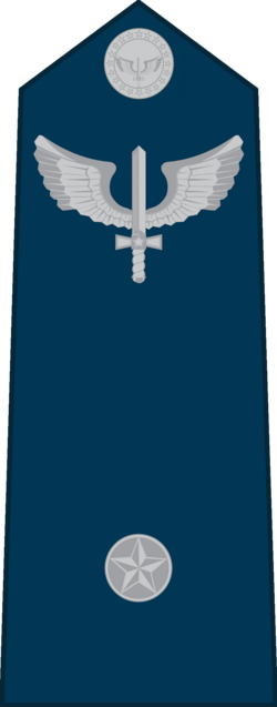 Aspirante-a-Oficial air force shoulder insignia