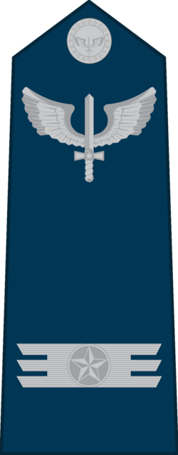 Capitão air force shoulder insignia