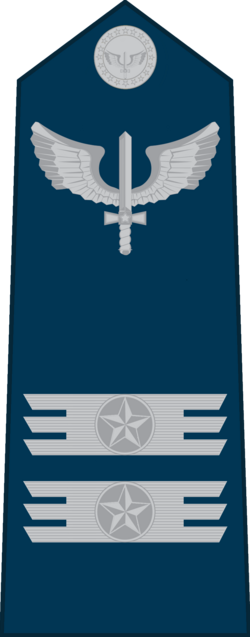 Coronel air force shoulder insignia