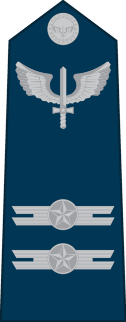 Major air force shoulder insignia