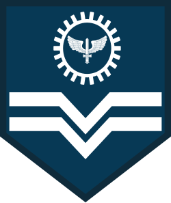 Cabo air force sleeve insignia