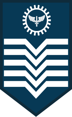 Primeiro-Sargento air force sleeve insignia